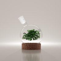 Ella Watkins-Dulaney, PhD – Science Communication and Art